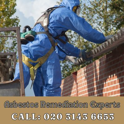 Asbestos Remediation Experts Purfleet