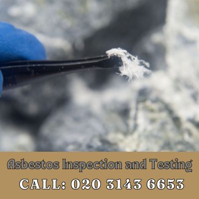 Comprehensive Asbestos Inspection and Testing Services in Purfleet